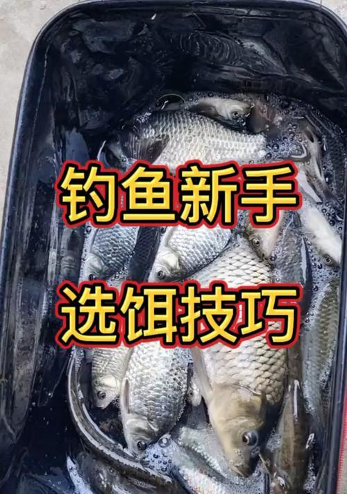 冬季钓鱼技巧详解教学？如何应对低温天气的挑战？