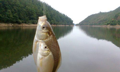 冬季钓鱼技巧选钓时间？如何选择最佳钓鱼时机？