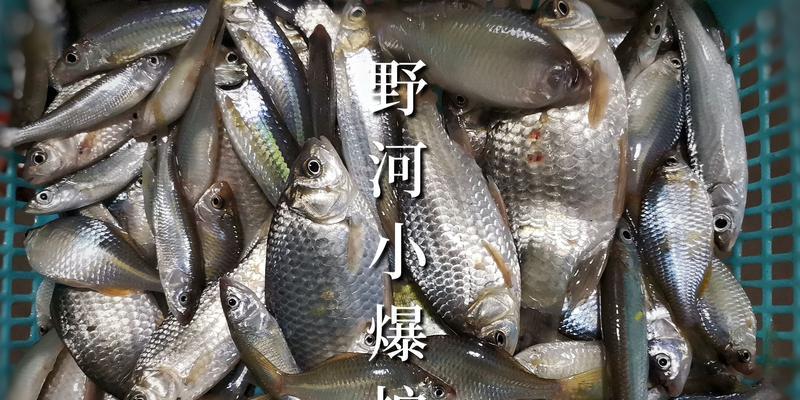 冬季钓鱼技巧野河有哪些？如何在野河中成功钓到鱼？