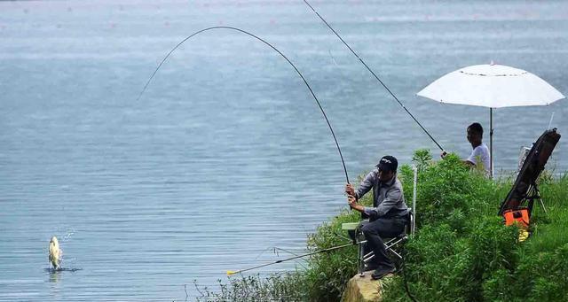 冬季钓鱼技巧最佳时间是多少？如何根据季节调整钓鱼策略？
