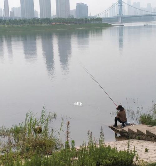 冬季钓鱼晚上钓鱼技巧有哪些？如何提高夜晚钓鱼的成功率？