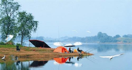 冬季钓鱼如何选择最佳天气？有哪些实用的选天气技巧？