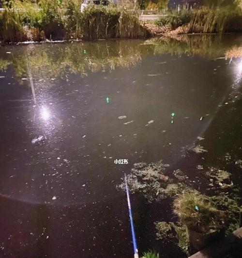 冬季钓鱼夜钓的技巧是什么？如何提高夜钓成功率？