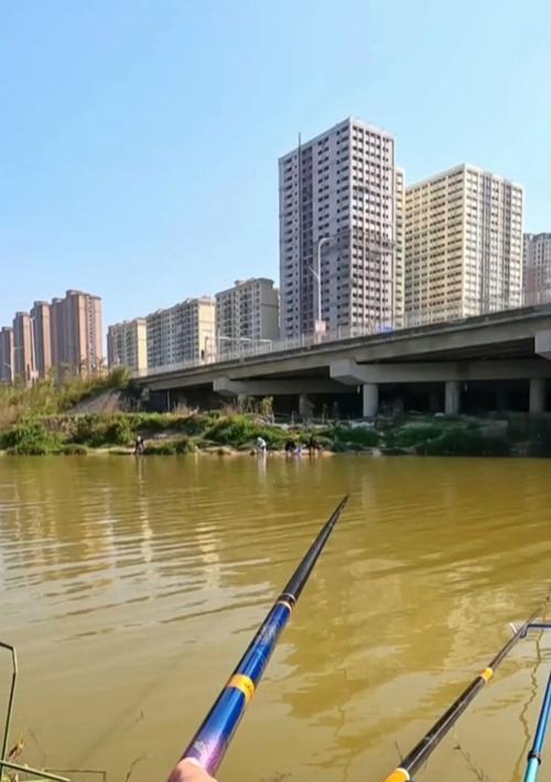 冬季钓鱼用打窝技巧？如何正确使用打窝技巧提高钓鱼效率？
