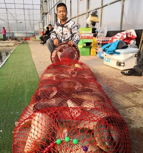 冬季东北大棚钓鱼技巧和方法是什么？如何提高钓鱼成功率？