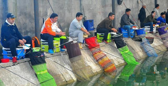 冬季东北大棚钓鱼技巧和方法是什么？如何提高钓鱼成功率？