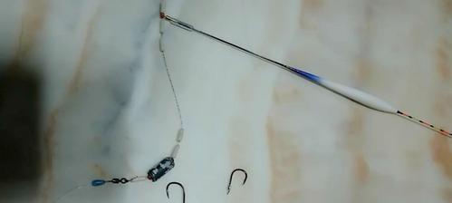 冬季如何调漂钓鲢鳙？浮漂钓鲢鳙有哪些技巧？
