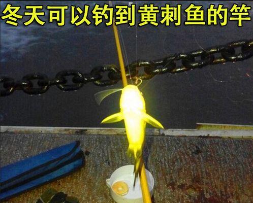 冬季海竿钓鱼技巧掌握得当？如何应对低温天气的挑战？