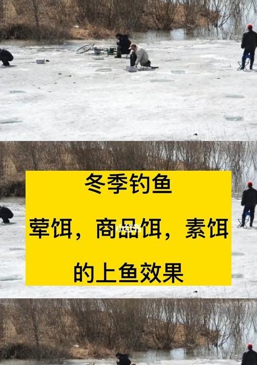 冬季河道野钓鱼技巧有哪些？如何提高冬季钓鱼成功率？