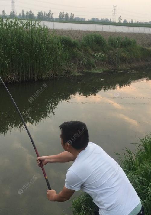 冬季河流长竿短线野钓技巧是什么？如何提高钓鱼效率？