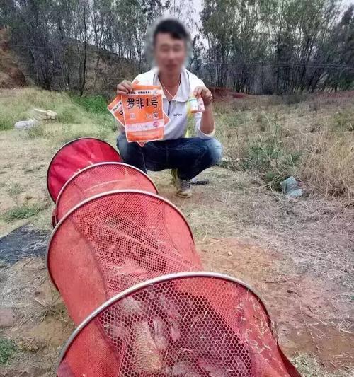 冬季黑坑钓鱼必备实战技巧？如何应对低温挑战？