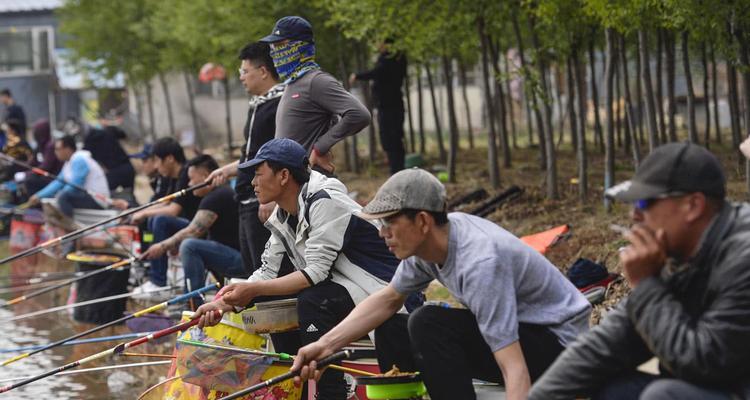 冬季黑坑钓鱼技巧与方法有哪些？如何提高冬季黑坑钓鱼的成功率？