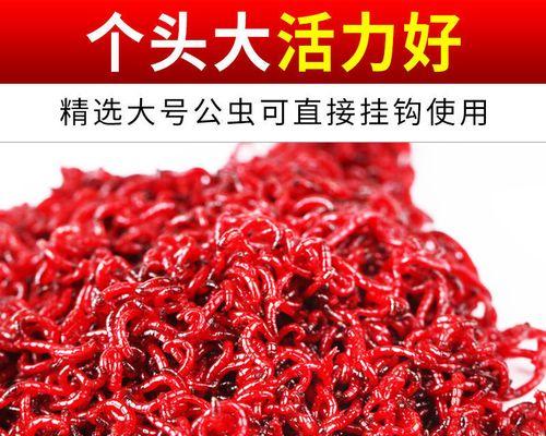 冬季红虫拉饵野钓如何调漂？掌握哪些技巧和方法？