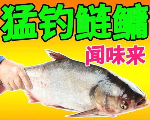 冬季湖库野钓胖头鱼有哪些技巧？如何提高钓获率？