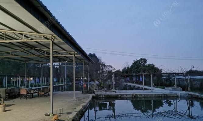 冬季欢乐塘钓鱼技巧有哪些？如何应对低温天气的挑战？