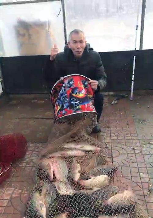 冬季鲤鱼大棚钓鱼技巧是什么？如何提高钓鱼成功率？