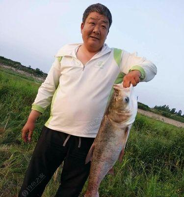 冬季如何垂钓鲢鱼？掌握哪些技巧能提高成功率？