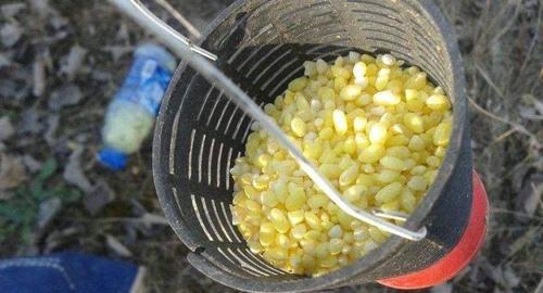 冬季流水钓鲫鱼技巧有哪些？如何提高钓鲫鱼的成功率？