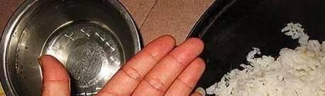 冬季米饭钓鱼技巧有哪些？如何提高冬季钓鱼成功率？