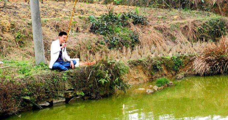 冬季农村鱼塘钓鱼技巧有哪些？如何提高冬季钓鱼成功率？