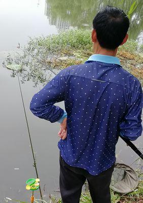 冬季藕塘长竿短线野钓技巧是什么？如何提高成功率？