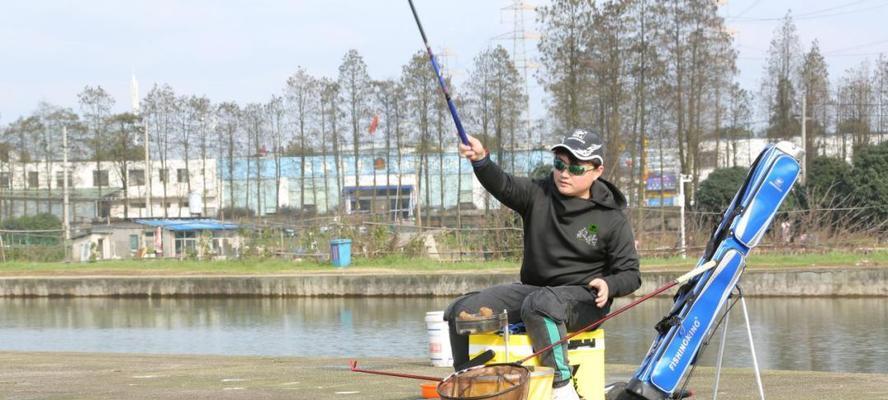 冬季藕塘长竿短线野钓技巧是什么？如何提高成功率？