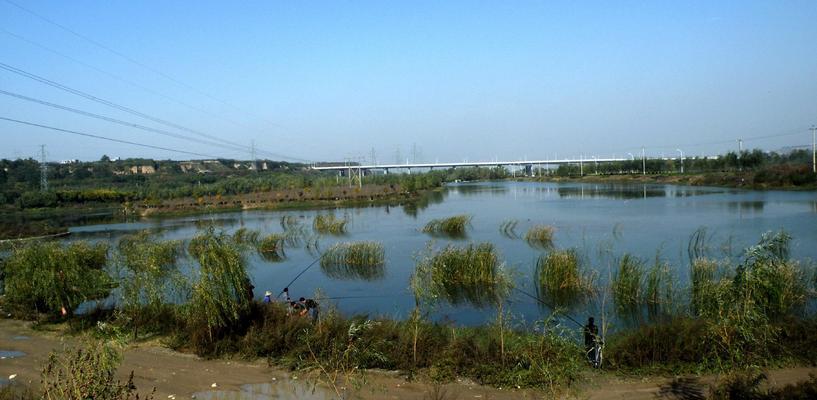 冬季蒲草滩钓鱼技巧有哪些？如何提高冬季钓鱼成功率？
