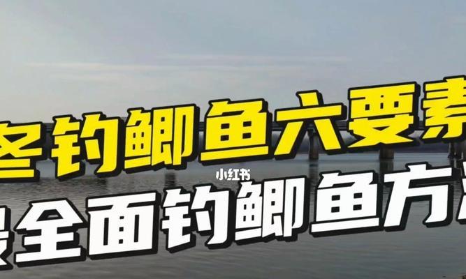 冬季七星钓鱼技巧有哪些？如何应对低温天气的挑战？