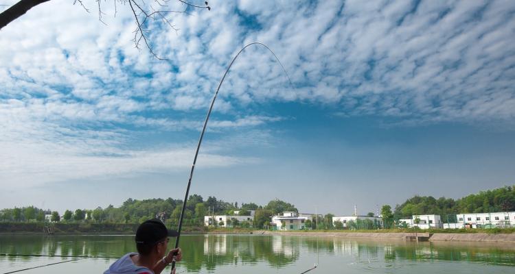 冬季气温高时钓鱼选位技巧是什么？如何提高钓鱼成功率？