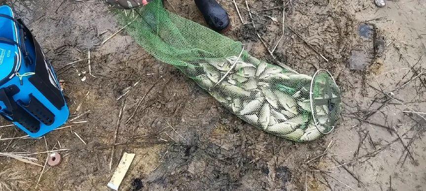冬季沙坑钓鱼方法和技巧是什么？如何提高冬季沙坑钓鱼的成功率？