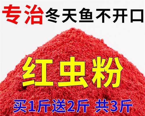 冬季使用红虫钓鱼的技巧是什么？如何提高钓鱼成功率？