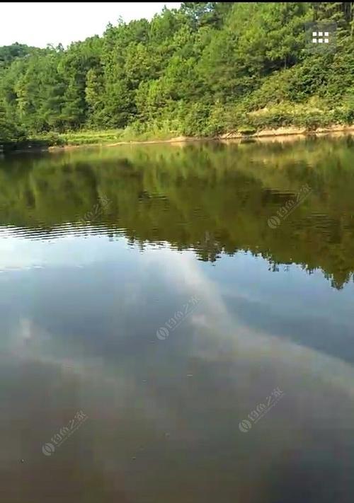 冬季室内鱼塘钓鱼技巧有哪些？如何提高钓获率？