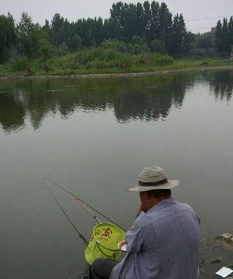 冬季水库垂钓鲤鱼技巧有哪些？如何提高垂钓成功率？