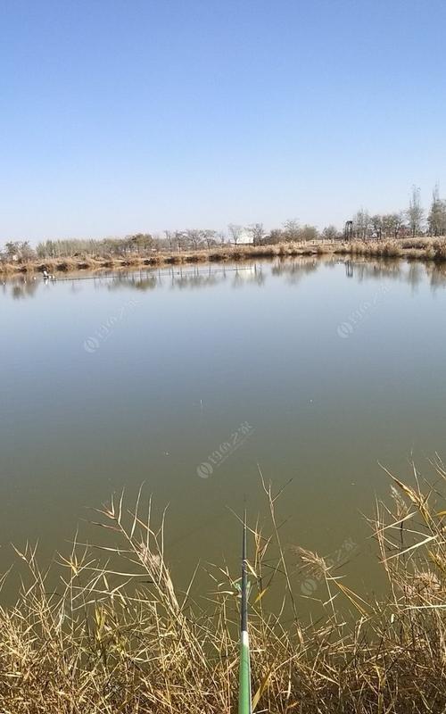 冬季水面结冰后如何野钓？有哪些技巧可以提高成功率？