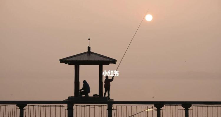 冬季太阳大钓鱼技巧有哪些？如何提高冬季钓鱼成功率？