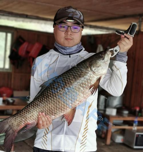 冬季万峰湖野钓技巧是什么？如何应对低温天气？