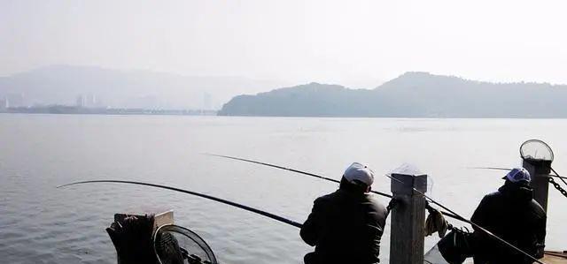 冬季无漂钓鱼技巧和方法是什么？如何提高冬季钓鱼的成功率？
