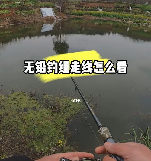 冬季无铅钓鱼方法和技巧是什么？如何提高冬季钓鱼成功率？