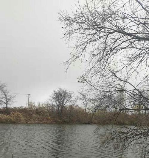 冬季下雪前钓鱼技巧有哪些？如何提高钓鱼成功率？