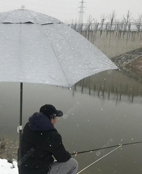 冬季下雪天钓鱼技巧是什么？如何应对雪天钓鱼的挑战？