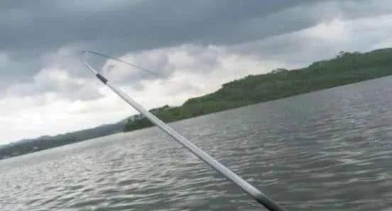 冬季下雨钓鱼的技巧和方法是什么？如何应对雨天钓鱼的挑战？