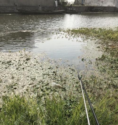 冬季雨天钓鱼技巧有哪些？如何在雨中提高钓鱼成功率？