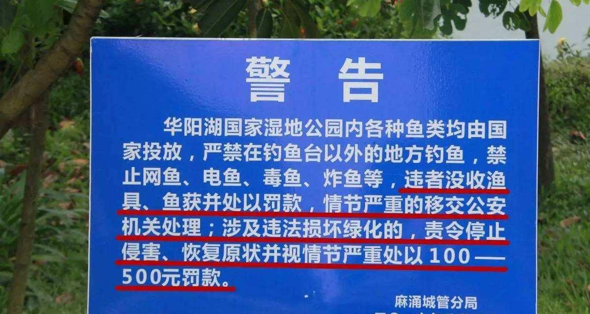冬季湘江翻板钓鱼技巧有哪些？如何应对低温天气的挑战？