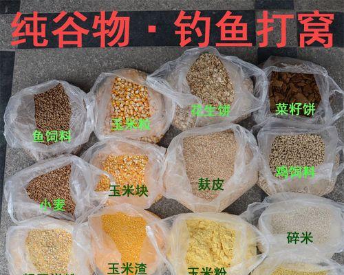 冬季小麦打窝钓鱼技巧是什么？如何提高钓鱼成功率？
