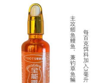 冬季小药钓鱼技巧有哪些？如何提高冬季钓鱼成功率？