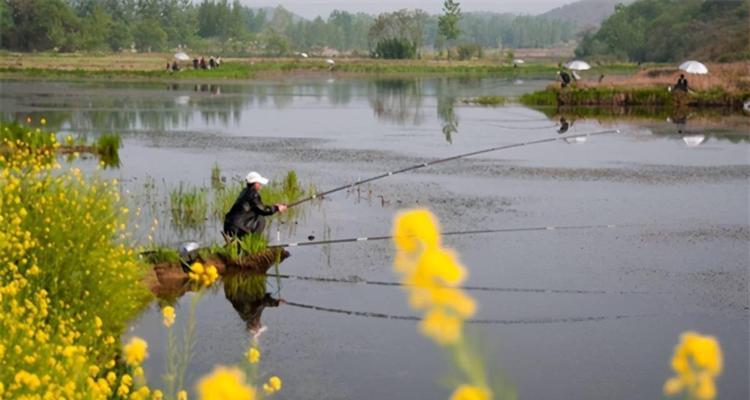 冬季小雨后刮风钓鱼技巧是什么？如何应对天气变化提高钓鱼成功率？