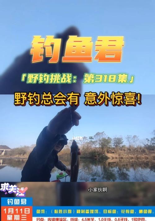 冬季雪地野外钓鱼技巧有哪些？如何应对低温挑战？