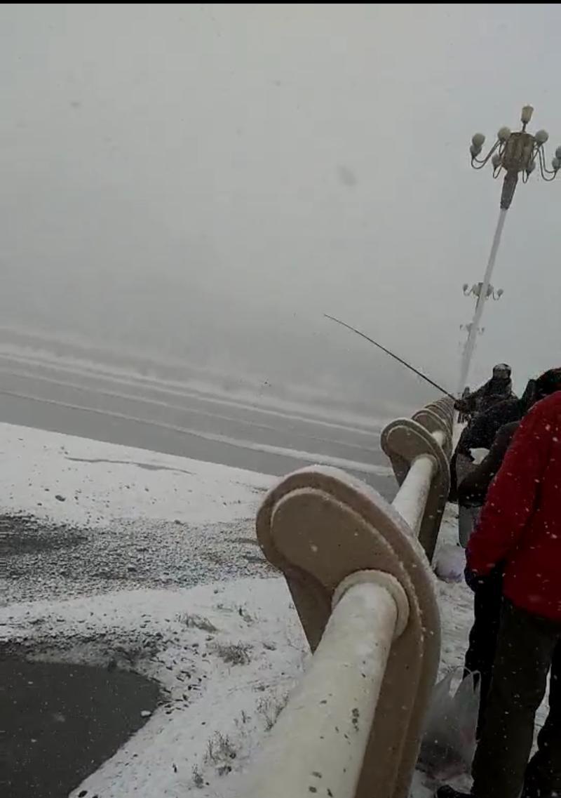 冬季雪天钓鱼技巧有哪些？适合雪天使用的饵料是什么？