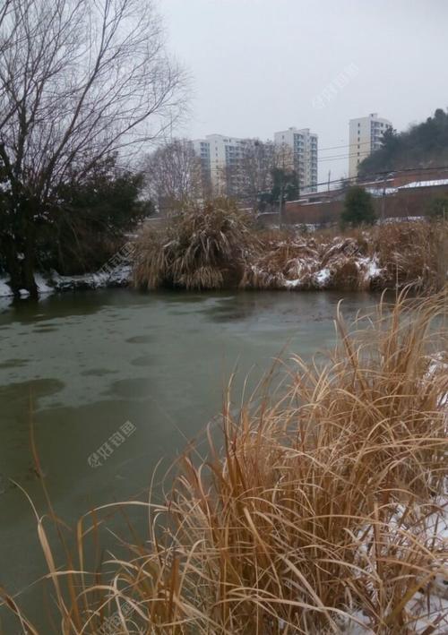 冬季雪天钓鱼技巧有哪些？如何应对雪天钓鱼的挑战？