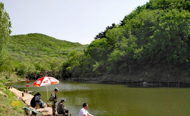 冬季养殖鱼塘钓鱼技巧有哪些？如何提高冬季钓鱼成功率？